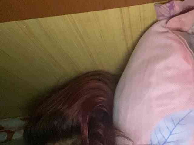 Rainie webcam