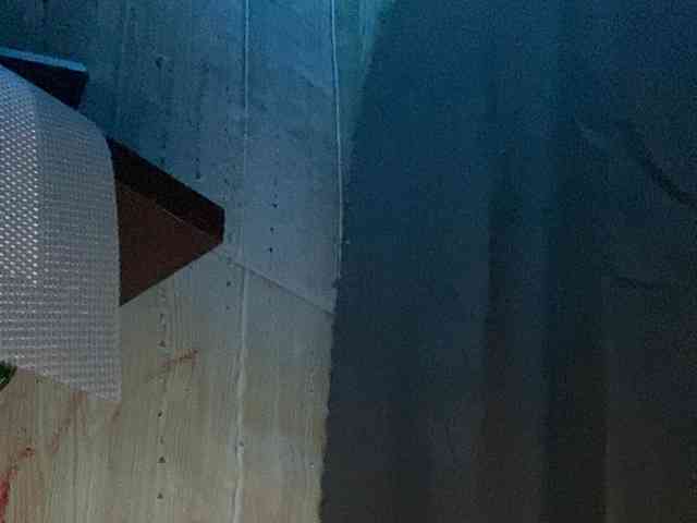 Rainie webcam