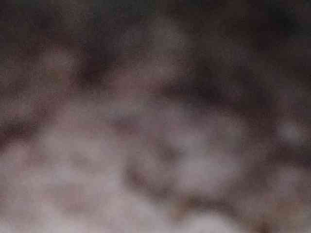 Rainie webcam