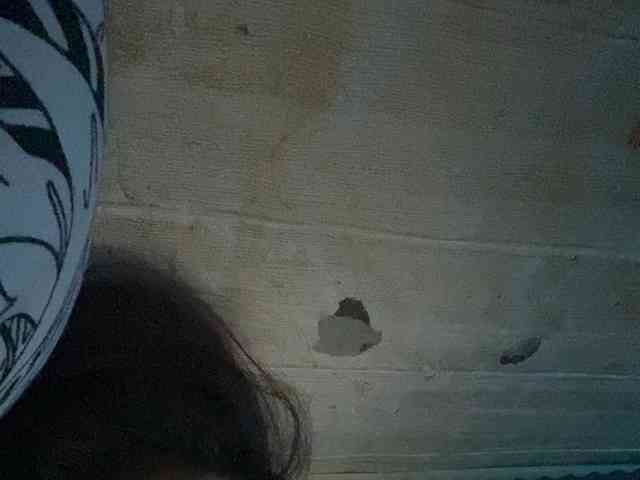 Rainie webcam