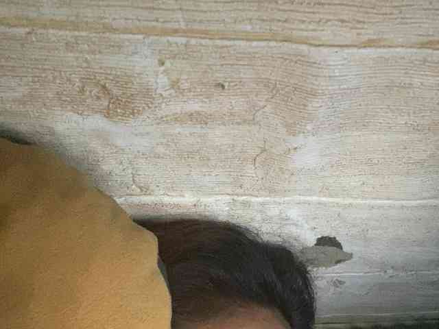Rainie