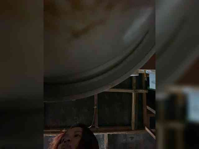 rasberrykat webcam