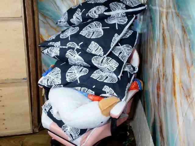 Asiankitties Asiankitties
