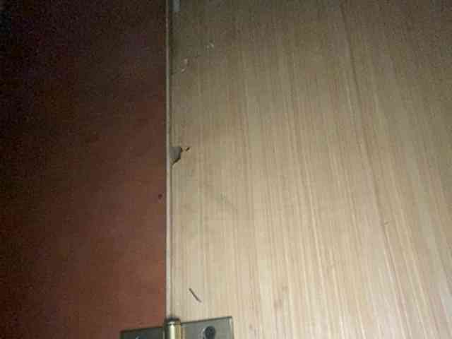 Rainie webcam