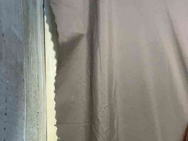 Rainie webcam