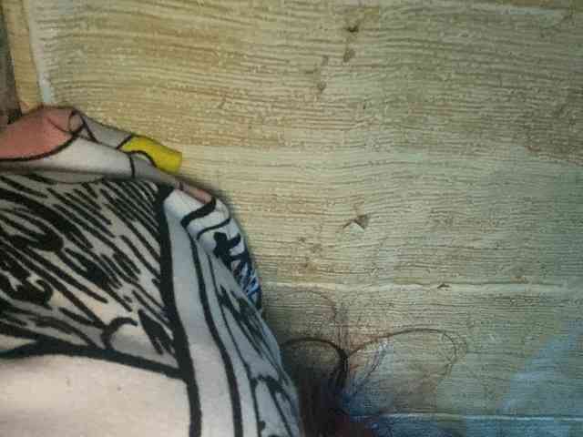 Rainie webcam