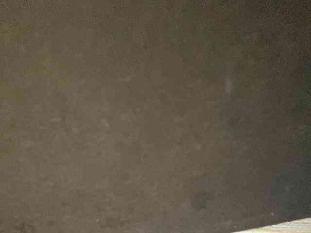 Rainie webcam