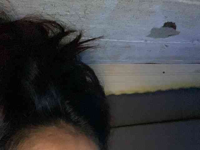 Rainie webcam