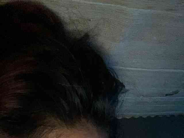 Rainie webcam