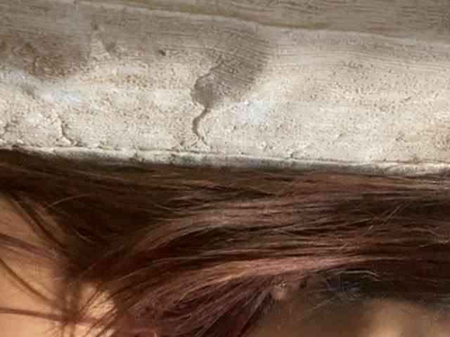 Rainie