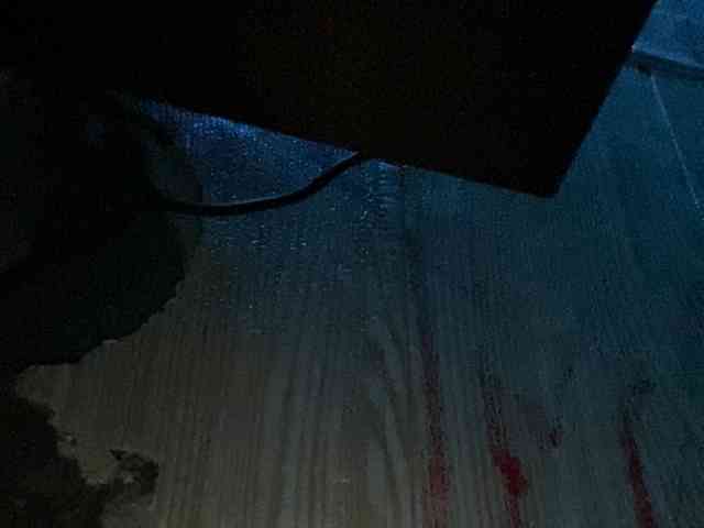 Rainie webcam
