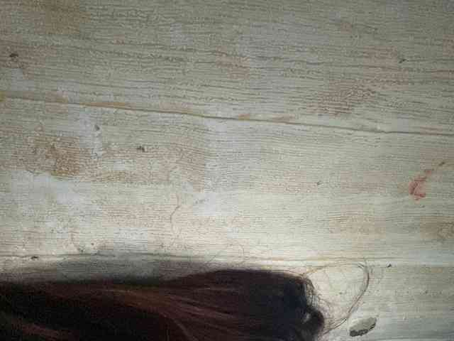 Rainie webcam