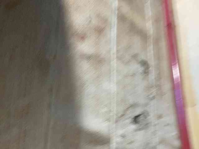Rainie webcam