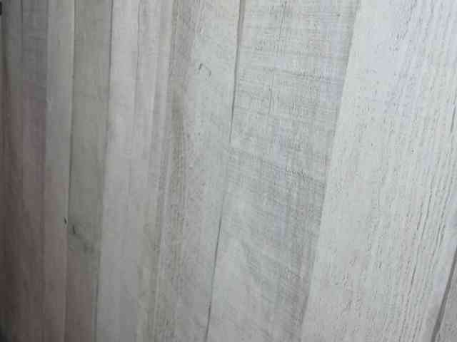 Rainie webcam