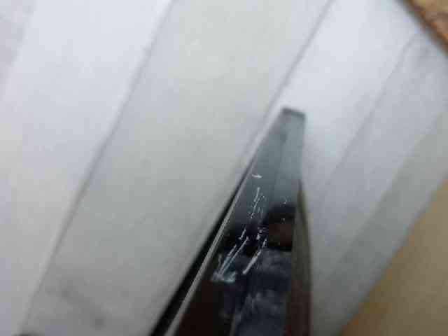 Rainie webcam