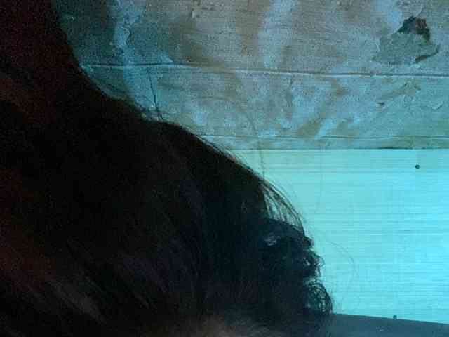 Rainie webcam