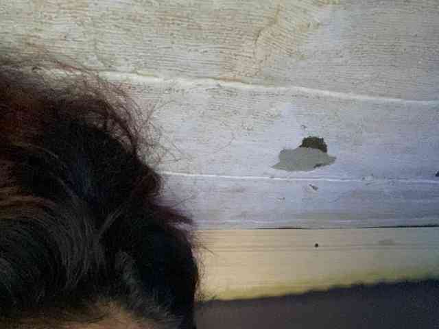 Rainie webcam