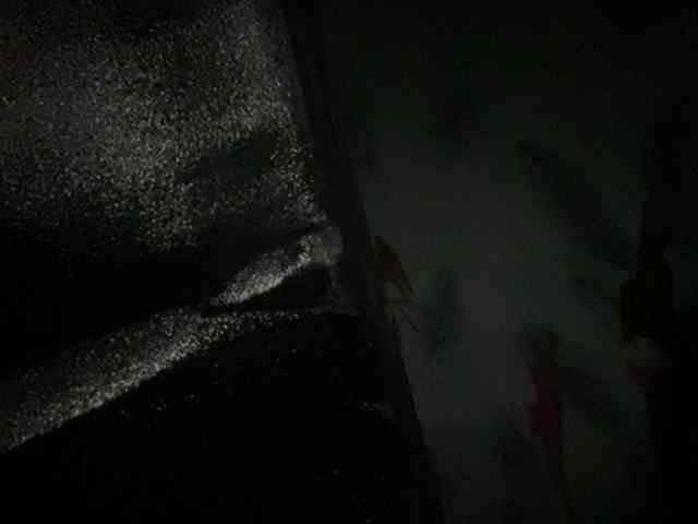 Rainie webcam