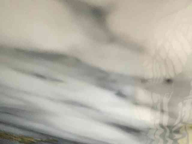 Rainie webcam