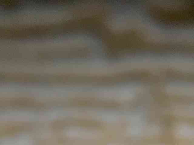 Rainie webcam