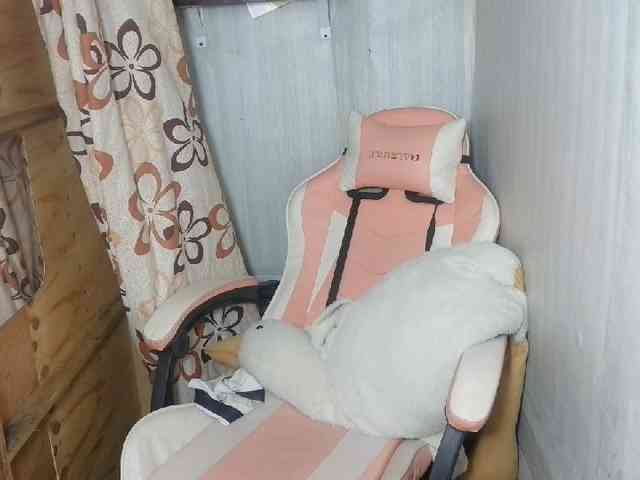 Rainie webcam
