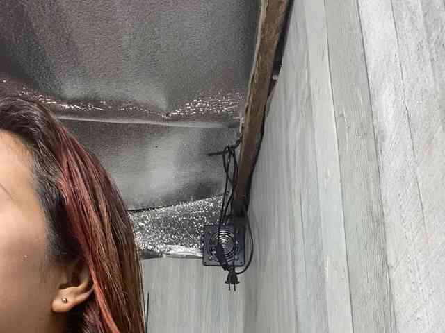 Rainie webcam