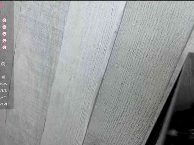 Rainie webcam