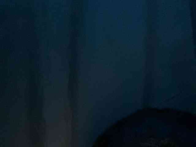 Rainie