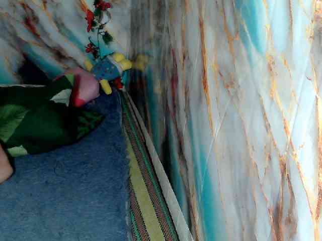 MoonFlowers webcam