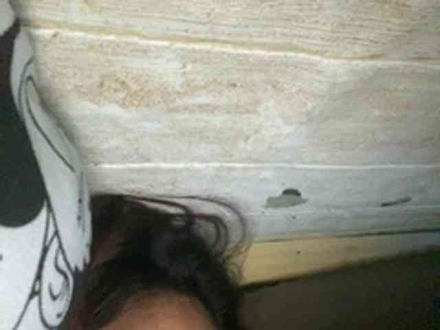 Rainie webcam