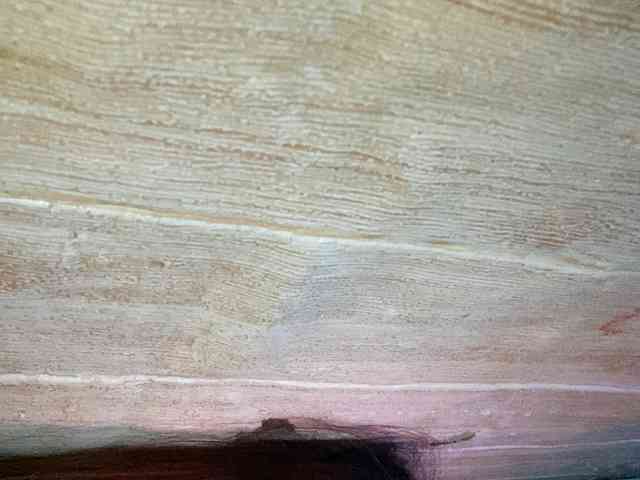 Rainie webcam