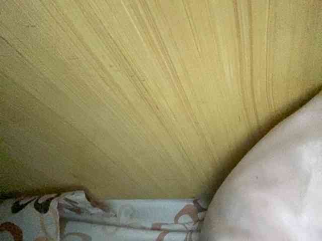 Rainie webcam
