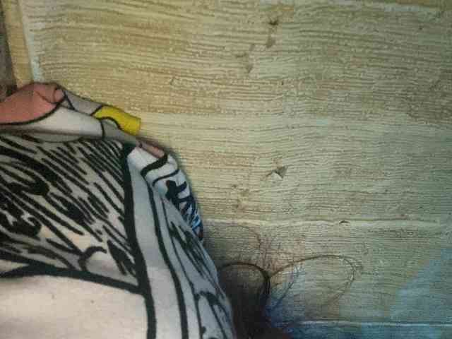Rainie webcam