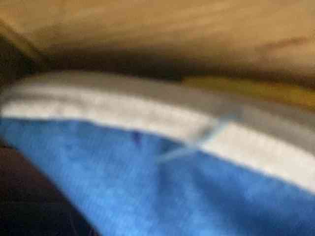 Rainie webcam