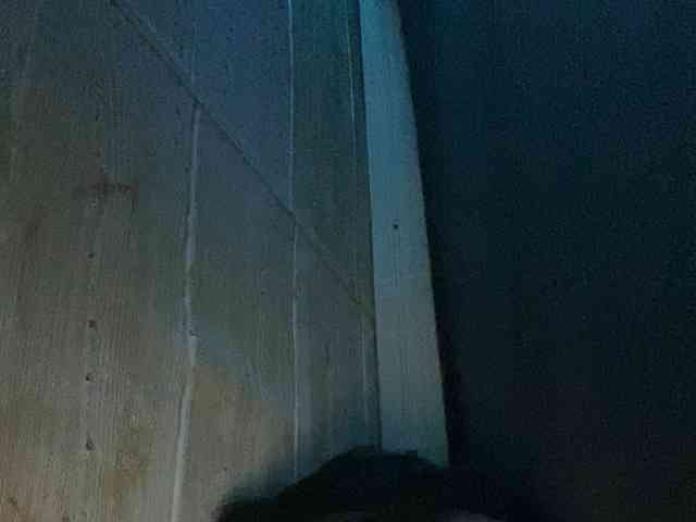 Rainie webcam