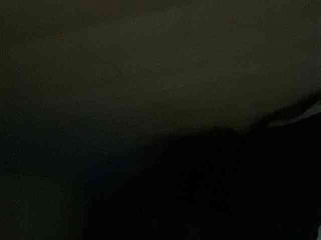Rainie webcam