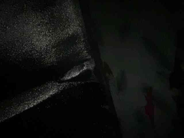 Rainie webcam