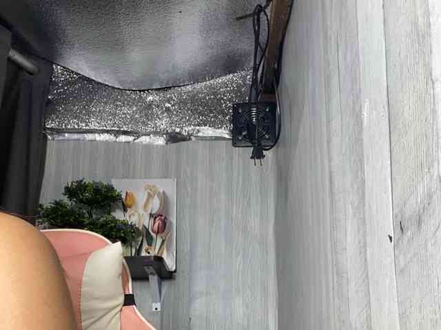 Rainie webcam