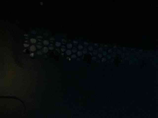 Rainie webcam