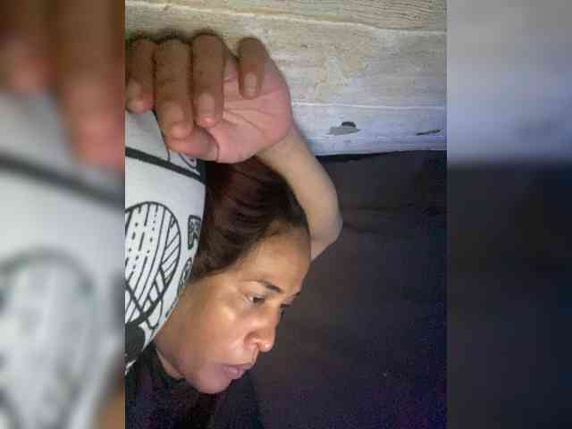 Rainie