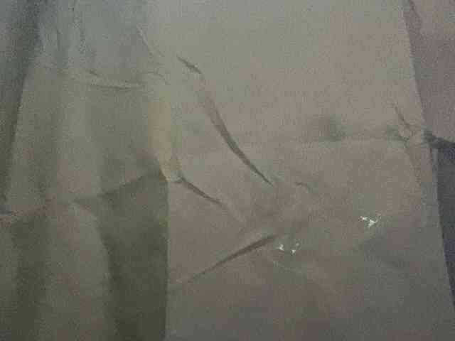 Rainie webcam