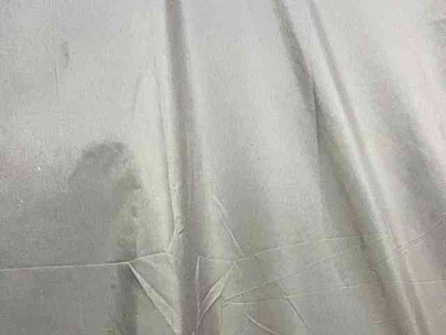 Rainie webcam