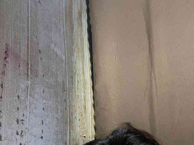 Rainie webcam