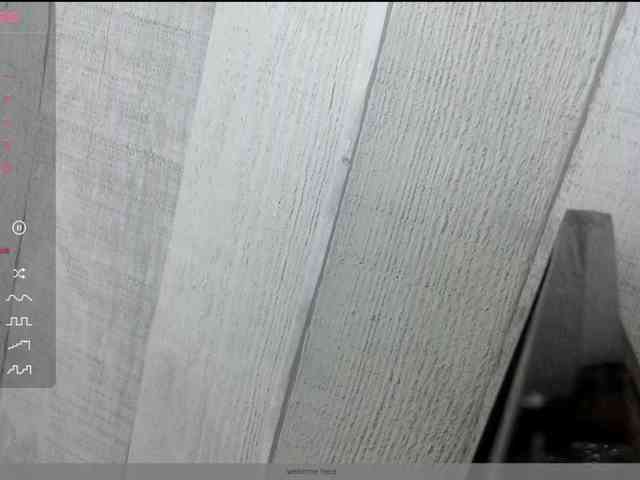 Rainie webcam