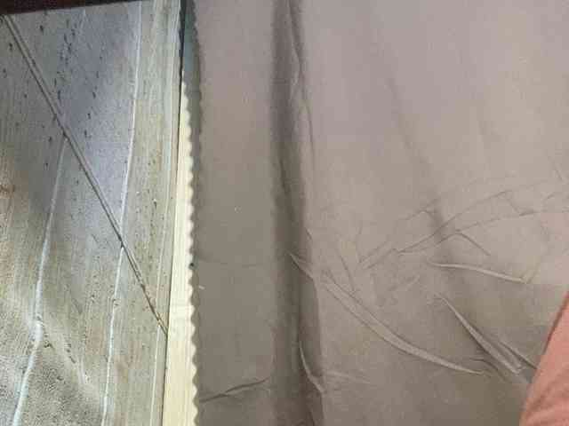Rainie webcam