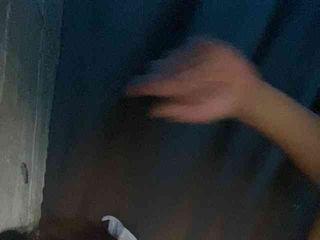 Rainie webcam