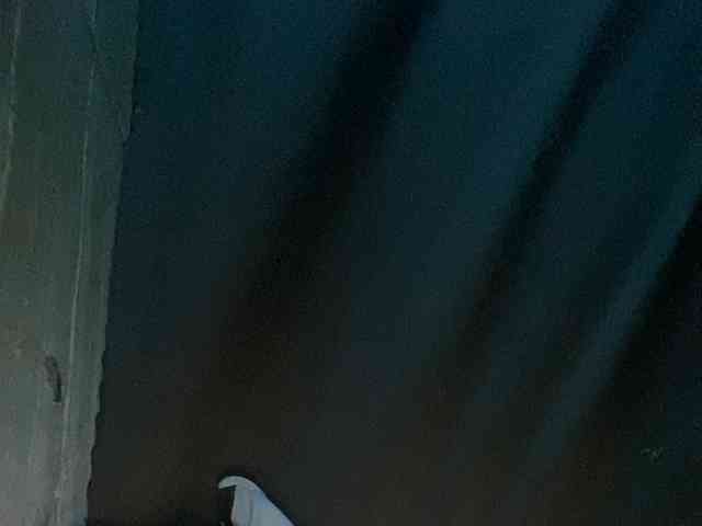 Rainie webcam