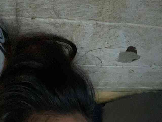 Rainie webcam