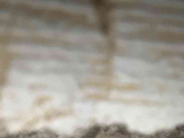 Rainie webcam