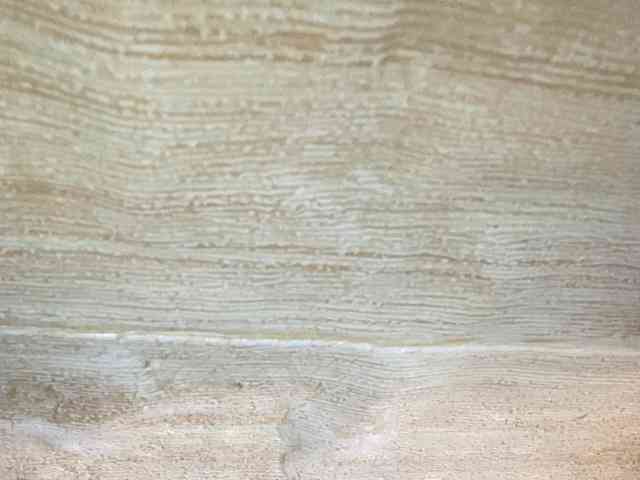 Rainie webcam
